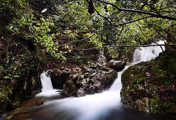 千岛湖红山谷景区第 11 张图片