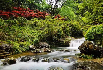 千岛湖红山谷景区第 9 张图片