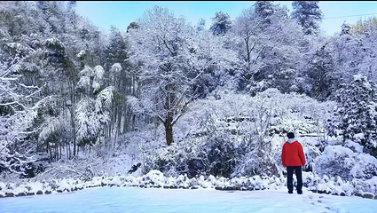 千岛湖红山谷景区第 7 张图片