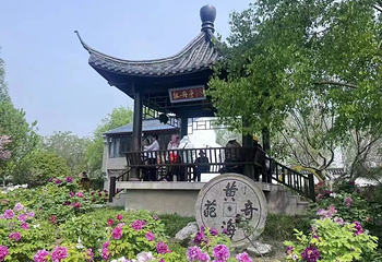 黄尖牡丹园第 10 张图片