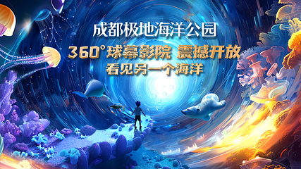 海合安成都极地海洋公园第 16 张图片