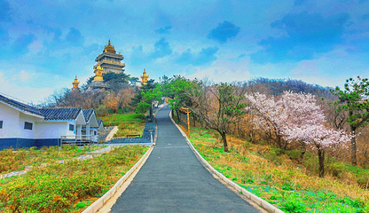 大洪山风景名胜区第 29 张图片