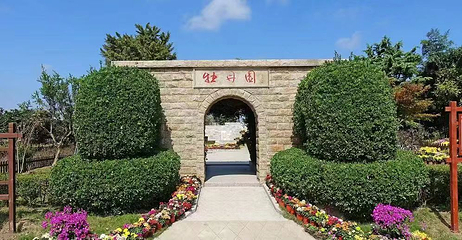 黄尖牡丹园第 9 张图片