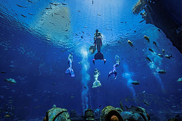 三亚亚特兰蒂斯失落的空间水族馆第 36 张图片