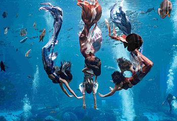 三亚亚特兰蒂斯失落的空间水族馆第 30 张图片