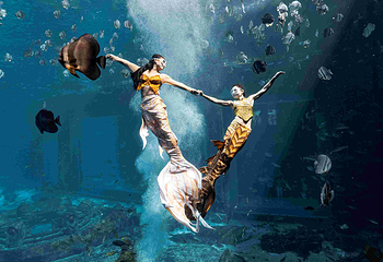 三亚亚特兰蒂斯失落的空间水族馆第 45 张图片