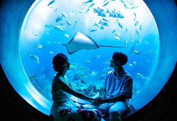 三亚亚特兰蒂斯失落的空间水族馆第 47 张图片
