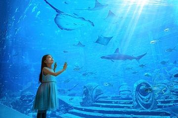 三亚亚特兰蒂斯失落的空间水族馆第 17 张图片
