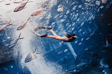 三亚亚特兰蒂斯失落的空间水族馆第 15 张图片