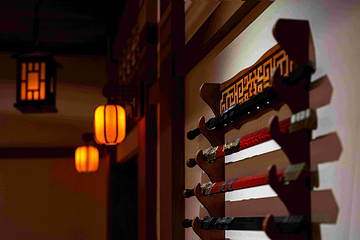 SAGA City of Light光明之城剧场第 103 张图片