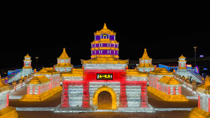 哈尔滨冰雪大世界第 17 张图片