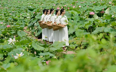 荷花谷旅游景区第 4 张图片