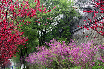 荆州古城历史文化旅游区第 11 张图片