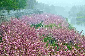 荆州古城历史文化旅游区第 7 张图片