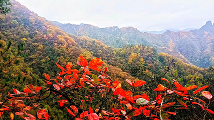 亢家寨风景区第 5 张图片