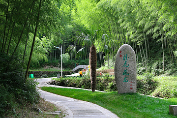 木坑竹海第 2 张图片