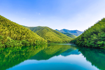 天目湖南山竹海第 17 张图片