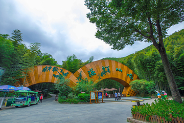 天目湖南山竹海第 12 张图片