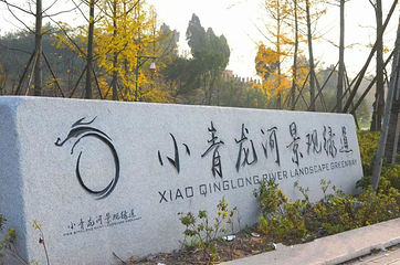 小青龙河湿地公园第 6 张图片