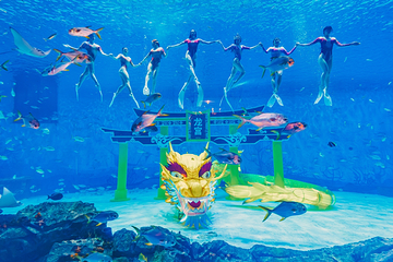 上海海昌海洋公园第 70 张图片