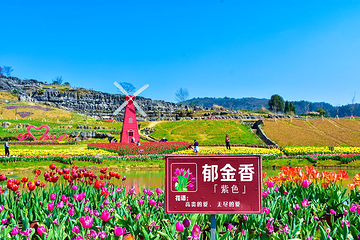 寒武纪石林景区第 4 张图片