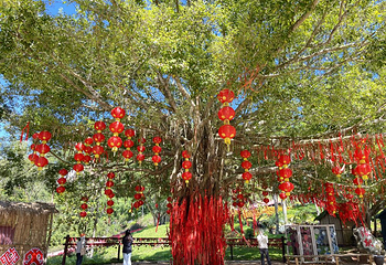 石花水洞第 50 张图片