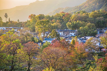 塔川第 2 张图片