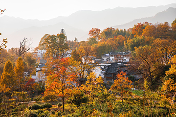 塔川第 6 张图片