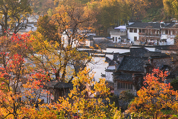 塔川第 3 张图片