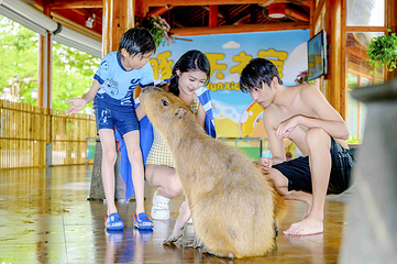 天目湖水世界第 15 张图片