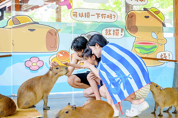 天目湖水世界第 9 张图片