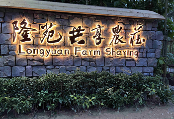 隆苑咖啡庄园第 14 张图片