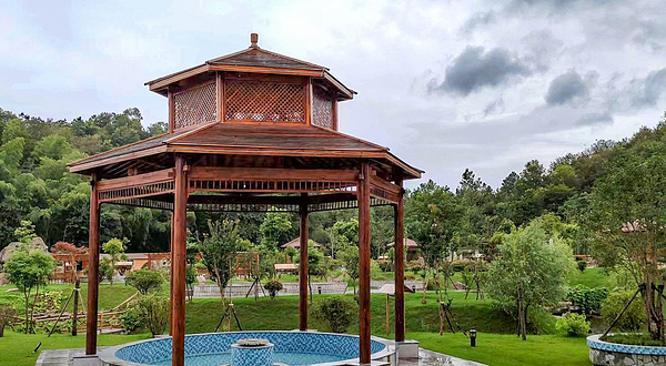 黄金海岸蓝光萤火虫