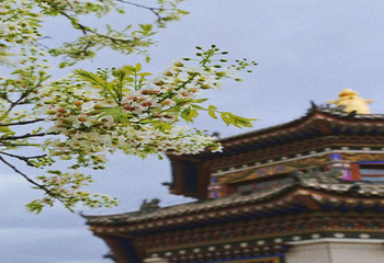 颐和生态文化博览园第 4 张图片