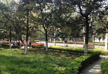 南京大学(鼓楼校区)第 14 张图片