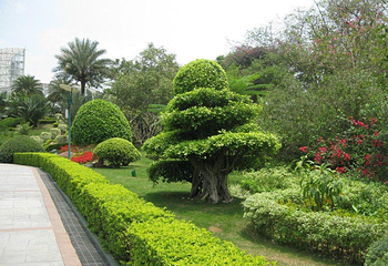 云台花园第 37 张图片