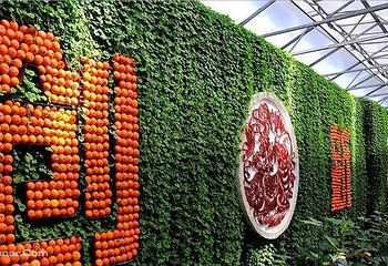 寿光蔬菜高科技示范园第 12 张图片