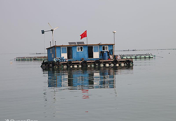 桑沟湾海洋牧场第 4 张图片