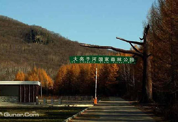 大亮子河国家森林公园第 4 张图片