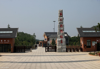 中国扬子鳄村第 26 张图片