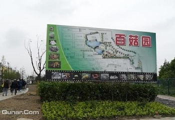 中国菇菌博物馆第 2 张图片