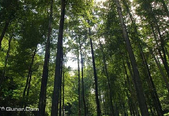灵寿水泉溪自然风景区第 4 张图片