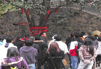 龙公祖庙第 4 张图片