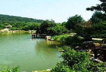慈溪市圈圈杨梅生态观光园第 3 张图片