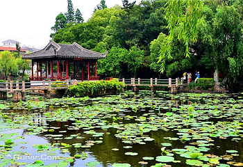曾园赵园第 17 张图片