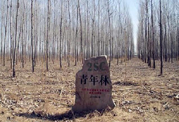 怀柔植树基地第 2 张图片