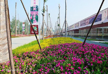 天府花都第 5 张图片