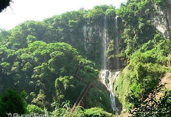 东峰林第 2 张图片