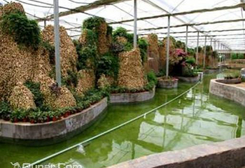 生态之都高效蔬菜观光园第 2 张图片