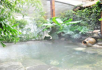 栖谷温泉第 8 张图片